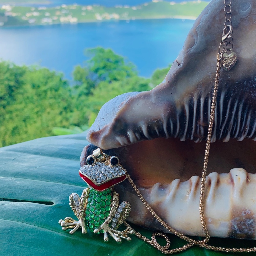 Betsey Johnson Necklace-Jeweled Frog